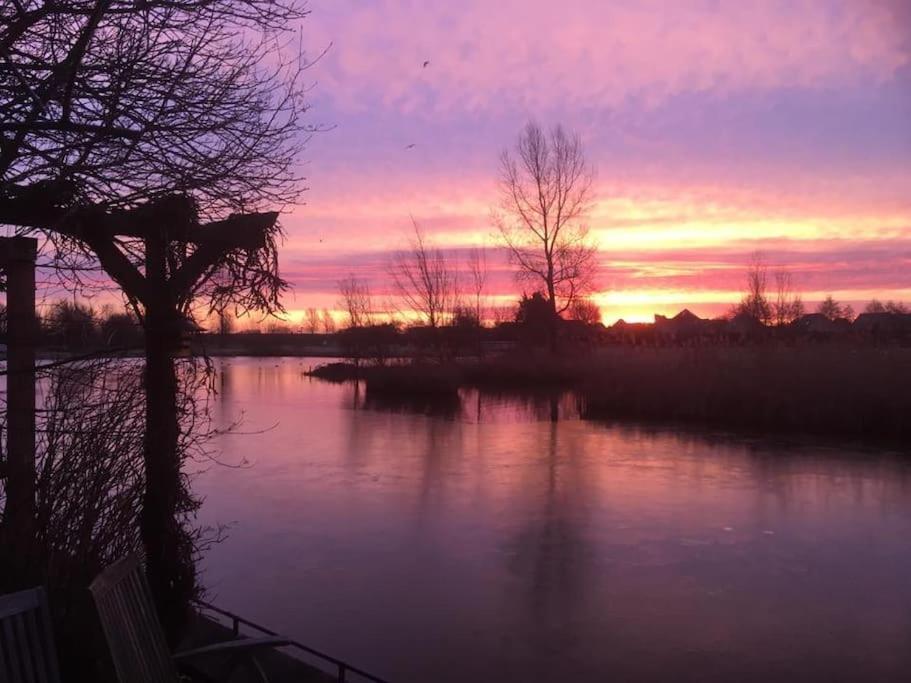 Gezellige Pipo Met Grote Schommel Aan Het Water Villa Medemblik Eksteriør billede